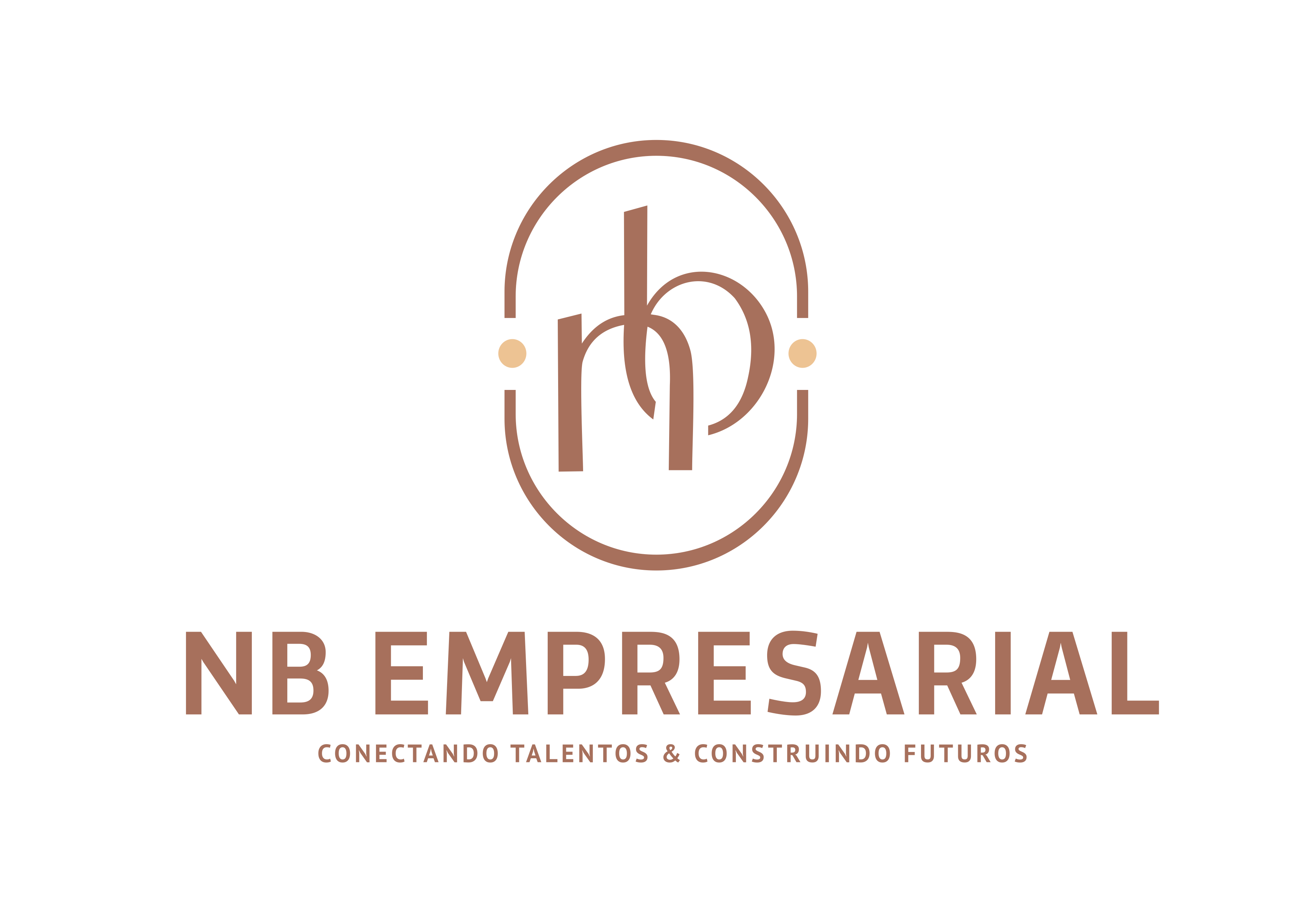 NB Gestão Empresarial